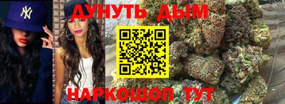 индика Можга