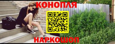 индика Можга