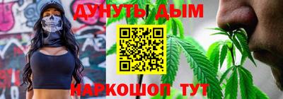 индика Можга