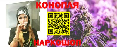 индика Можга