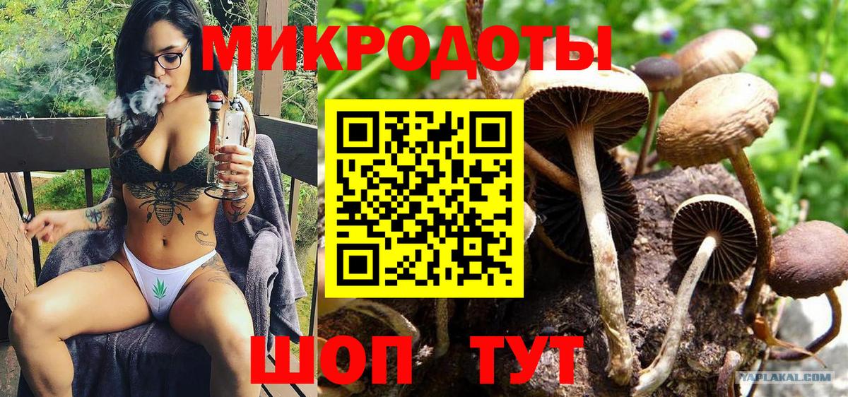Верхняя Салда  Галлюциногенные грибы мухоморы  Вход с VPN 