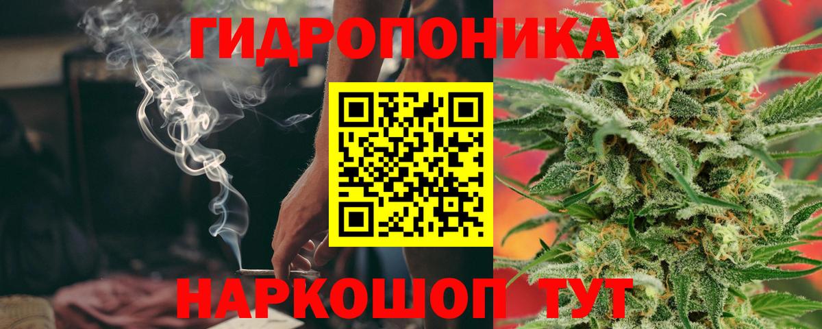 Марихуана сатива  Бошки Шишки Bruce Banner  Вход с VPN  Верхняя Салда  Шишки марихуана конопля 